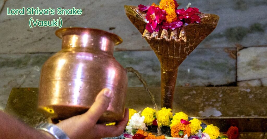 Lord Shiva’s Snake (Vasuki) pooja